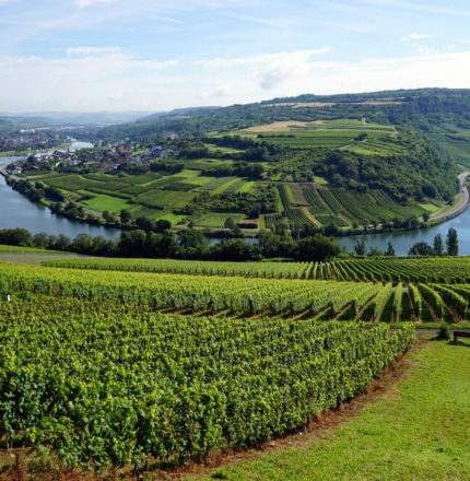 Paysage Moselle